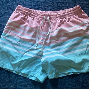 Chubbies swim shorts